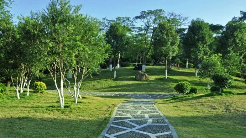 全球总决赛举办地是怎么选出来的?一文看懂选址逻辑与城市规律
